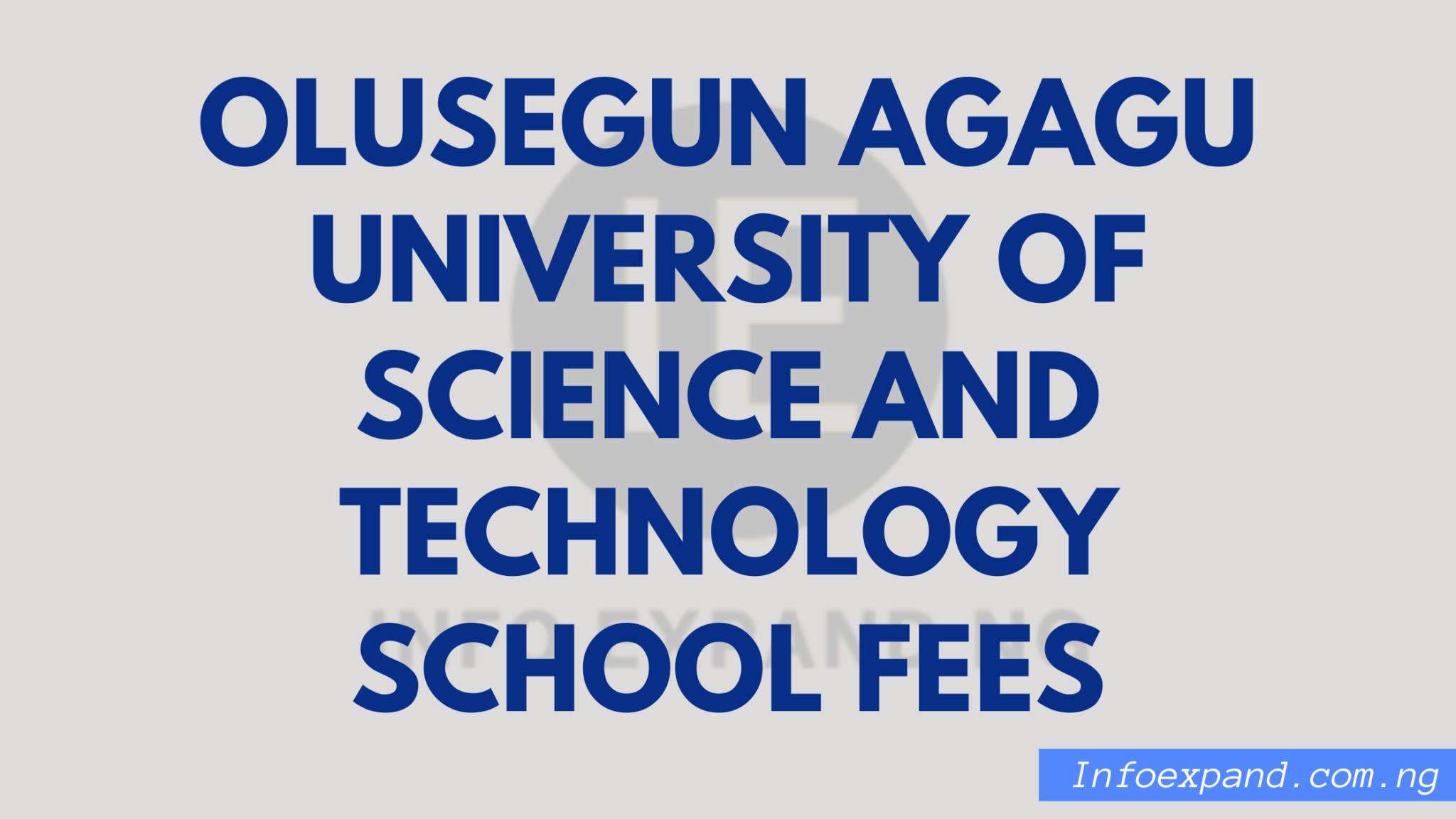 Red Simple Travel Blog Banner 20260126 120052