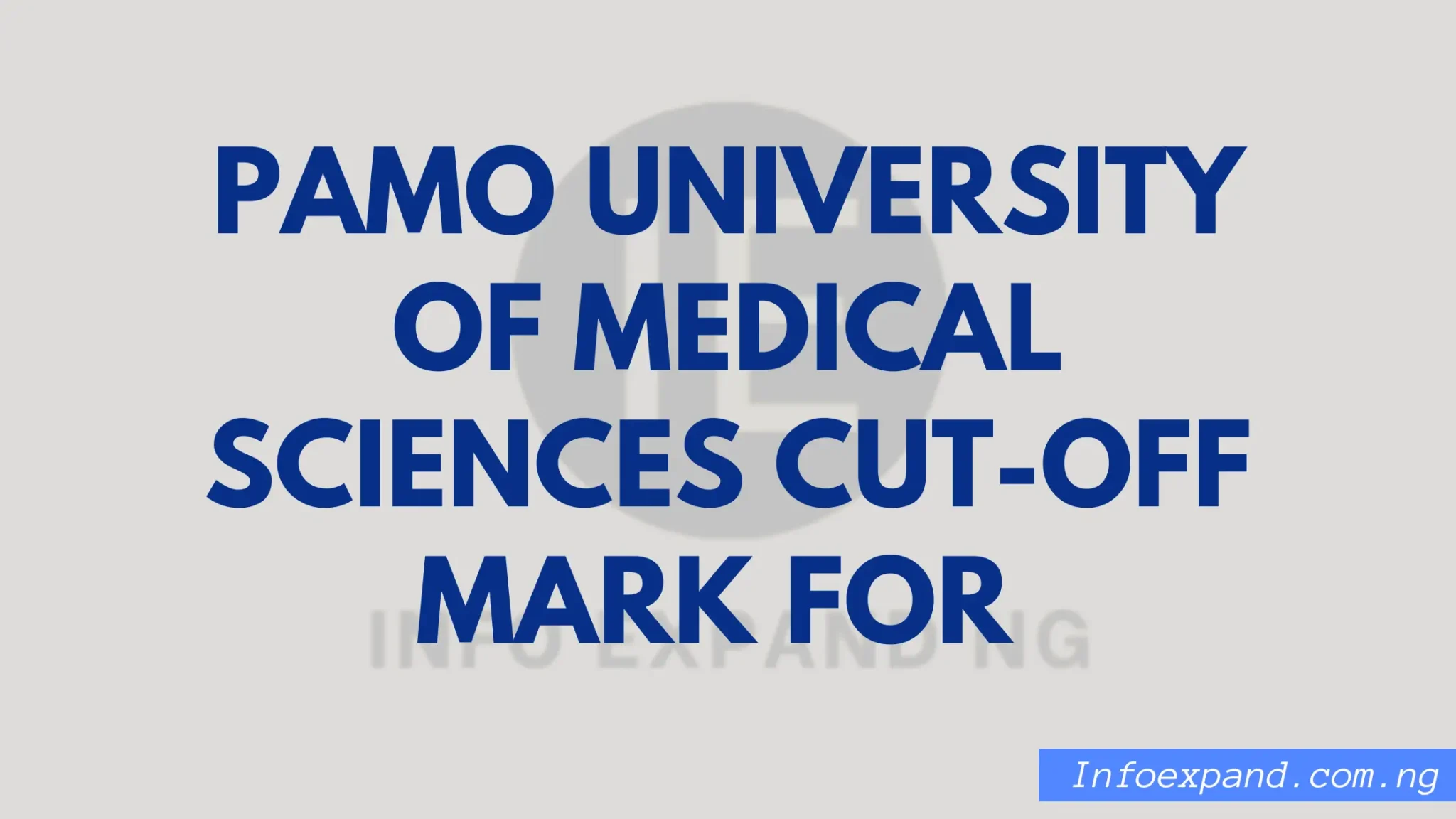 Red Simple Travel Blog Banner 20260304 222126