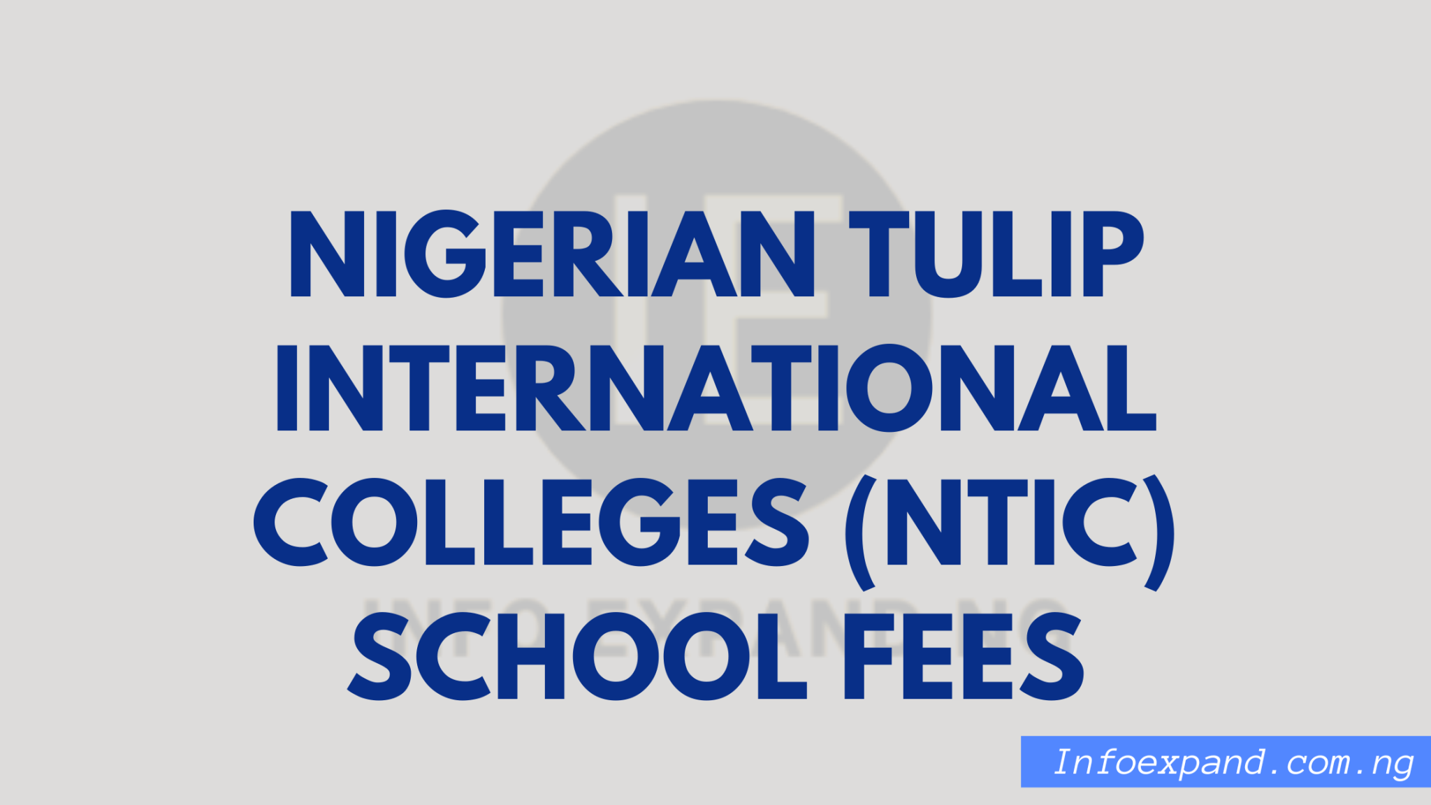 Infoexpand.com.ng 20260719 093050
